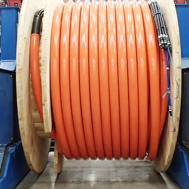 Umbilical Cape Holland 32 1000x500px