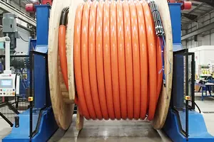 Umbilical Cape Holland 32 1000x500px