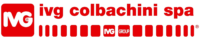 IVG logo